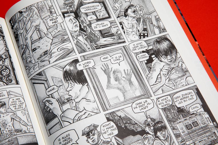 Stripboek van Dee Dee Ramone. Beeld RV