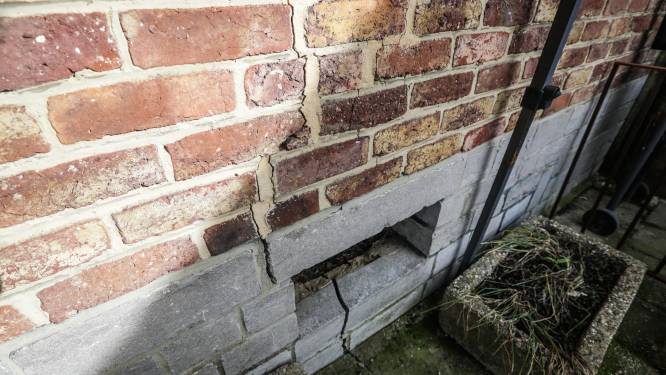 Verzekeraars willen scheuren aan huizen door droogte niet meer vergoeden: wat als je zelf schade hebt?