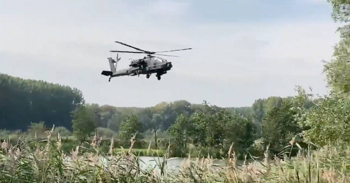Boswachter is klaar met laagvliegende Defensie-helikopters: ‘Ze vliegen echt heel laag over’