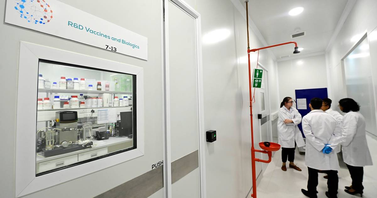Бельгийцы поставляют небольшую лабораторию для мРНК-вакцин в Южную Африку |  внутренний