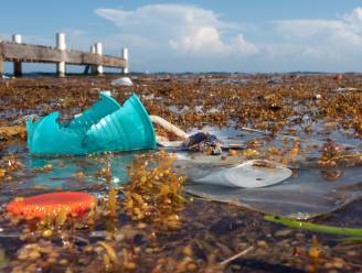 Belgen onderschatten hoeveel plastics er in oceanen terechtkomen: “We consumeren elke week equivalent van een bankkaart”