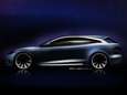 Brabantse designer ontwerpt 'jachttesla' voor verzamelaar