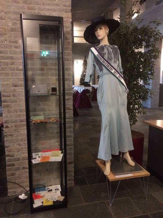 De sjerp, jurk en hoed die Marianne Thieme droeg op Prinsjesdag 2017. Op de jurk staat een afdruk van de foto die begin 1900 is gemaakt van de Britse suffragette Emmeline Pankhurst.
De jurk is te zien bij de expo over 100 jaar kiesrecht in het gemeentehuis van Gilze en Rijen.