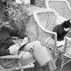 Recensie: Katten, Parijs en de vlaflip: alles komt voorbij Het universum van Willem Frederik Hermans