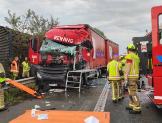 Ongeval met vrachtwagens op E17: bestuurder kritiek