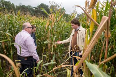 Veluwse boeren zijn wildschade zat, 'tegemoetkoming moet omhoog'