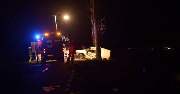Bestelauto tegen boom in Stavenisse, bestuurder gewond