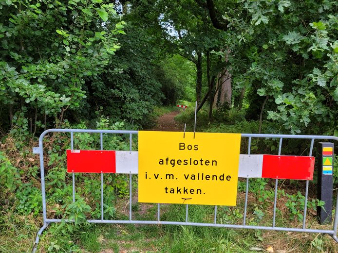 Geldrops Parkje tijdelijk afgesloten; onverwachts afbrekende takken ...