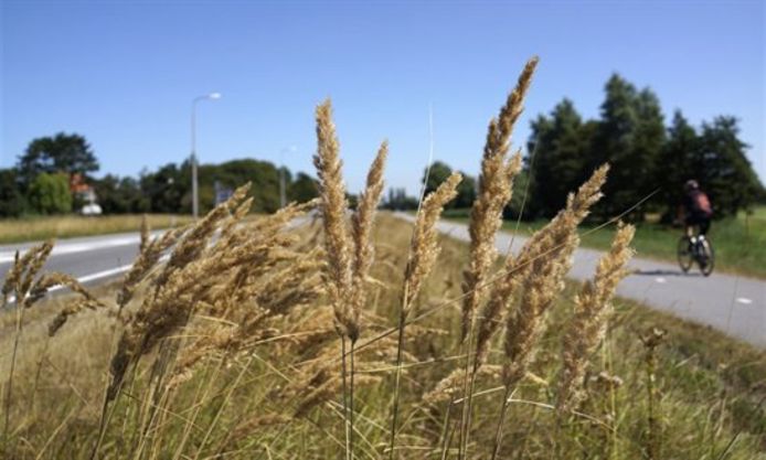 De provincie Zuid-Holland beheert 674 kilometer aan provinciale wegen en bermen.