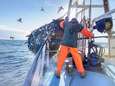 Europese Commissie treft noodmaatregelen om visserijsector te beschermen bij 'no deal'
