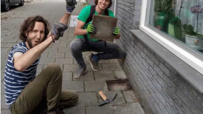 Ook in Delft gaat NK Tegelwippen van start: ruil je tuintegels in voor plantjes