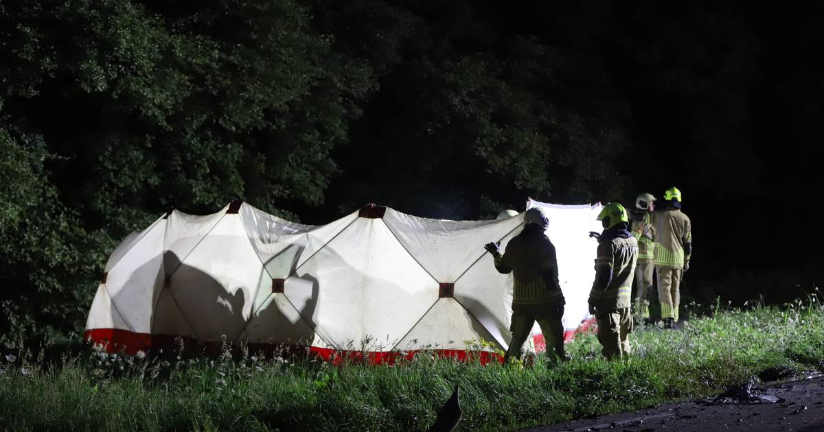 Automobiliste dood door frontale botsing, tweetal vlucht van ongevalsplek: aangehouden door politie.