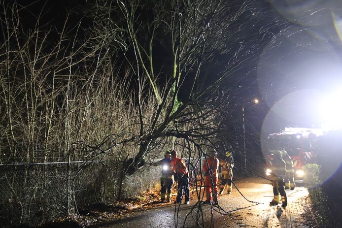 Een boom waait om in Lienden.