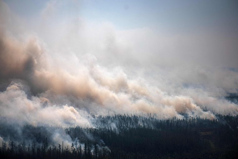 De rookwolk van de branden bereikte ondertussen het noordpoolgebied. ‘De bossen zijn een heel belangrijke regulator van het klimaat. Het zal nog lange tijd duren voordat de afgebrande gebieden hersteld zijn.’ Beeld AFP