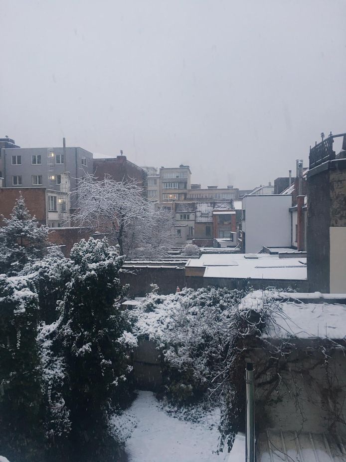 De sneeuw in Gent.