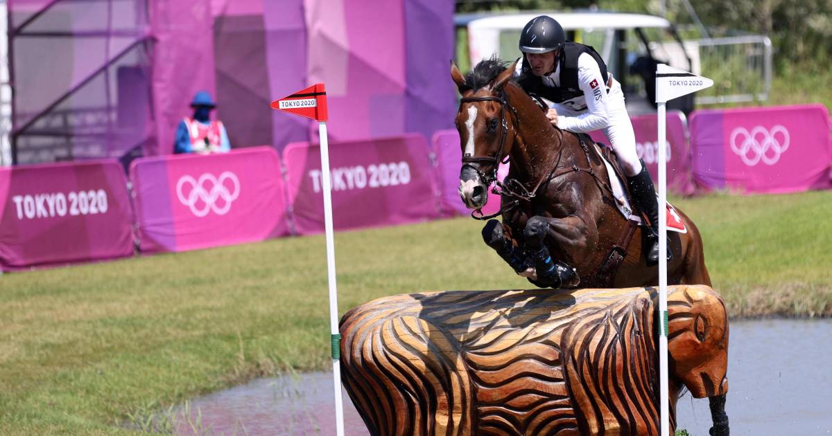 Zwitser moet paard laten inslapen na zware val op eventing ...
