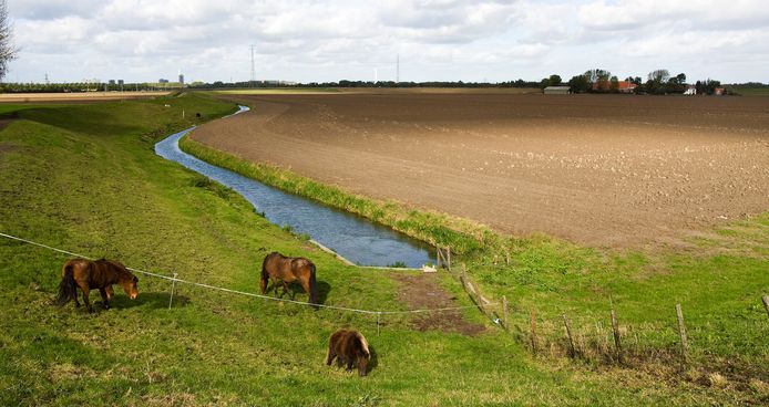Foto ter illustratie. Dit is niet de polder van Lageland.