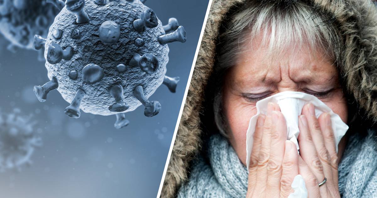 Understanding the Difference Between Flu and Covid-19: Contagion and Co-Infection