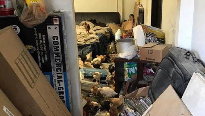 Facebook - Inland Valley Humane Society & S.P.C.A.