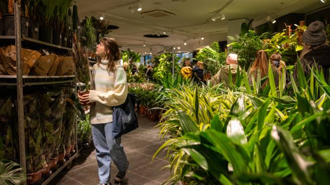 Plantenpop-up komt naar Stadsfeestzaal