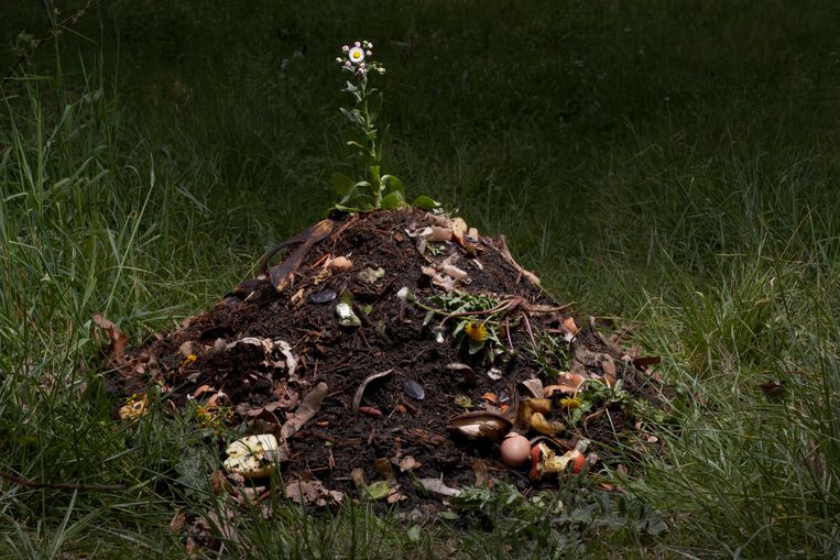 Wat mag er nou eigenlijk allemaal op de composthoop? Beeld Getty Images