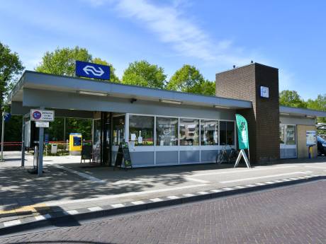 Slachtoffer mishandeling Borne is steward bij FC Twente, verdachten zijn supporters van die club