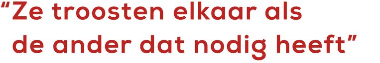null Beeld 