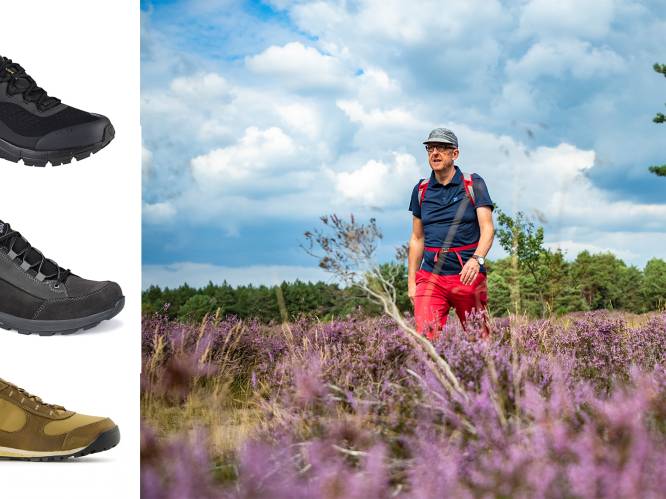 Test lage 2025 wandelschoenen 2019