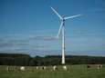 La Wallonie investit pour le climat à Charleroi et dans la Botte du Hainaut 