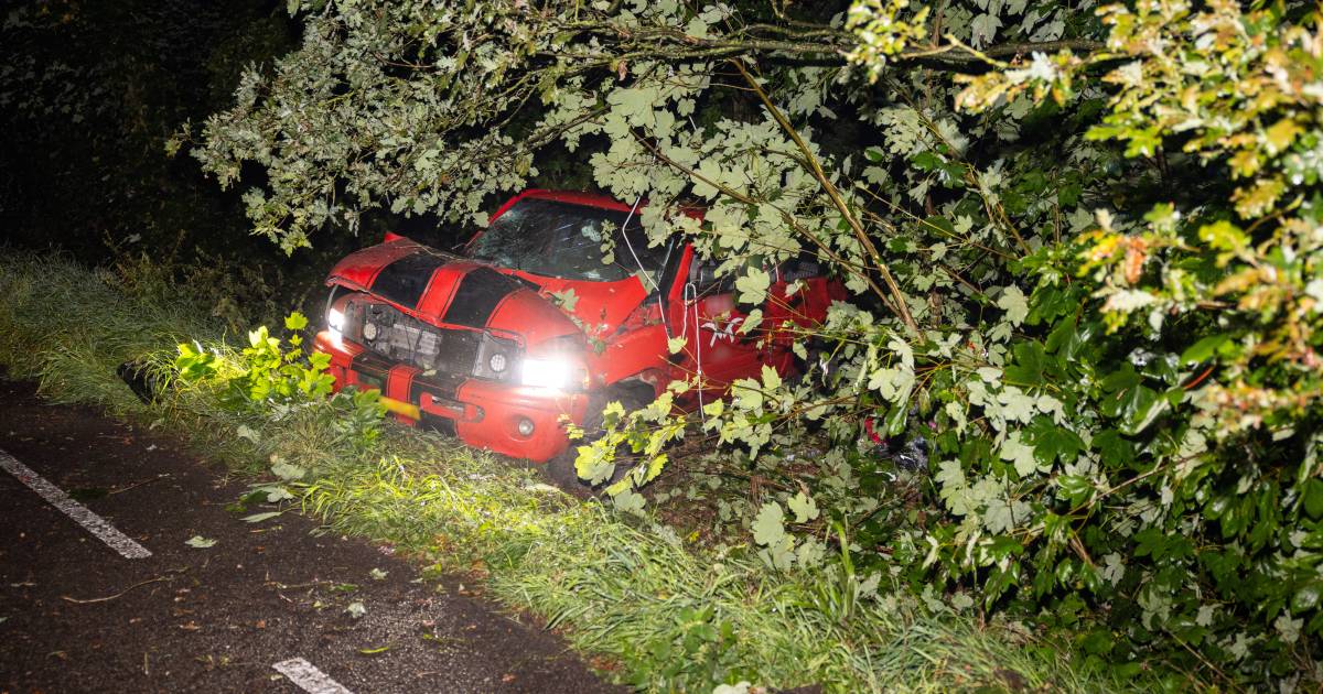 Man uit Ommen overlijdt na ongeluk bij Balkbrug.