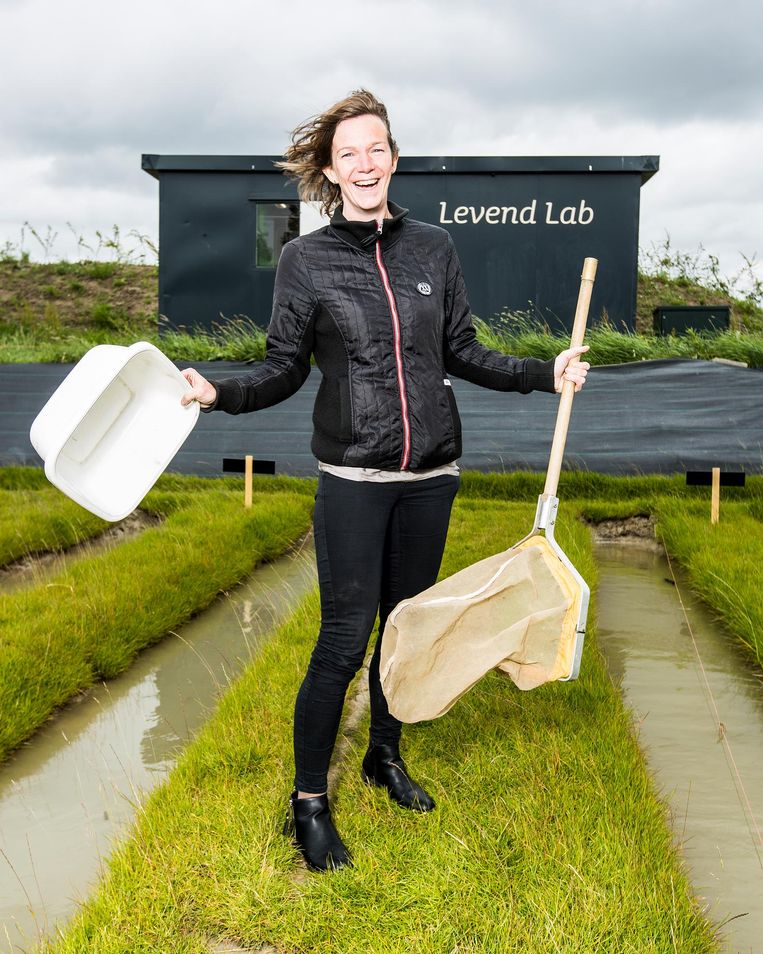 Ecotoxicologe Martina Vijver: 'We mogen geen gewervelde dieren als proefdier gebruiken, maar de insecten en andere kleine beestjes leren ons ook veel - ze bevinden zich aan de basis van de voedselketen.' Beeld Jiri Buller / de Volkskrant