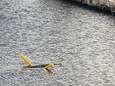 Foto van krokodil met gele zwembuis gaat viraal: "Net als een echte toerist"