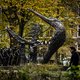 Hoe groot is historisch bewustzijn van het kabinet zélf?