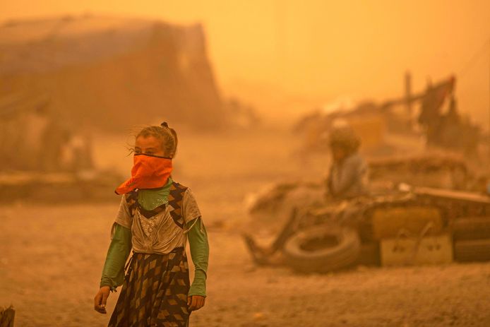 Crise du sable : l'ONU alerte sur le futur désastre environnemental de la  surexploitation de la ressource 