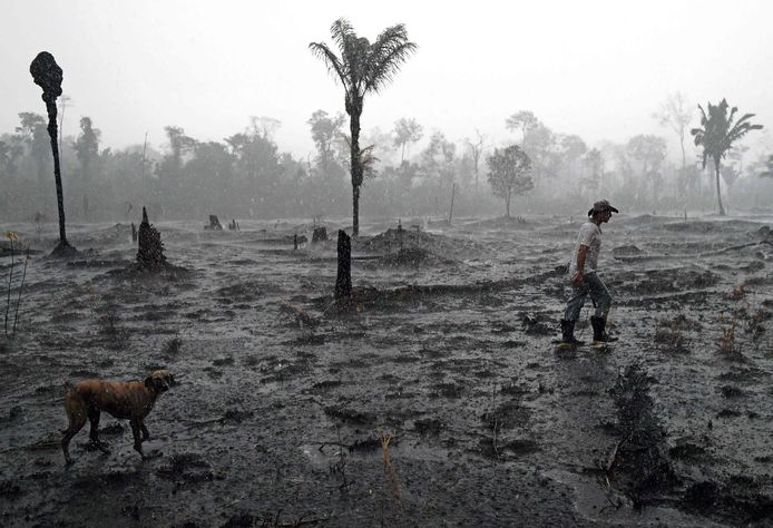 Een Braziliaanse landbouwer loopt door een verbrand stuk van het Amazonewoud, na de branden in augustus 2019.