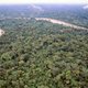 Ecuadoraanse stam bereid te sterven voor regenwoud