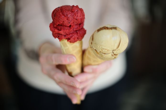 Hilde Gos van IceLab NiceCream Creations.