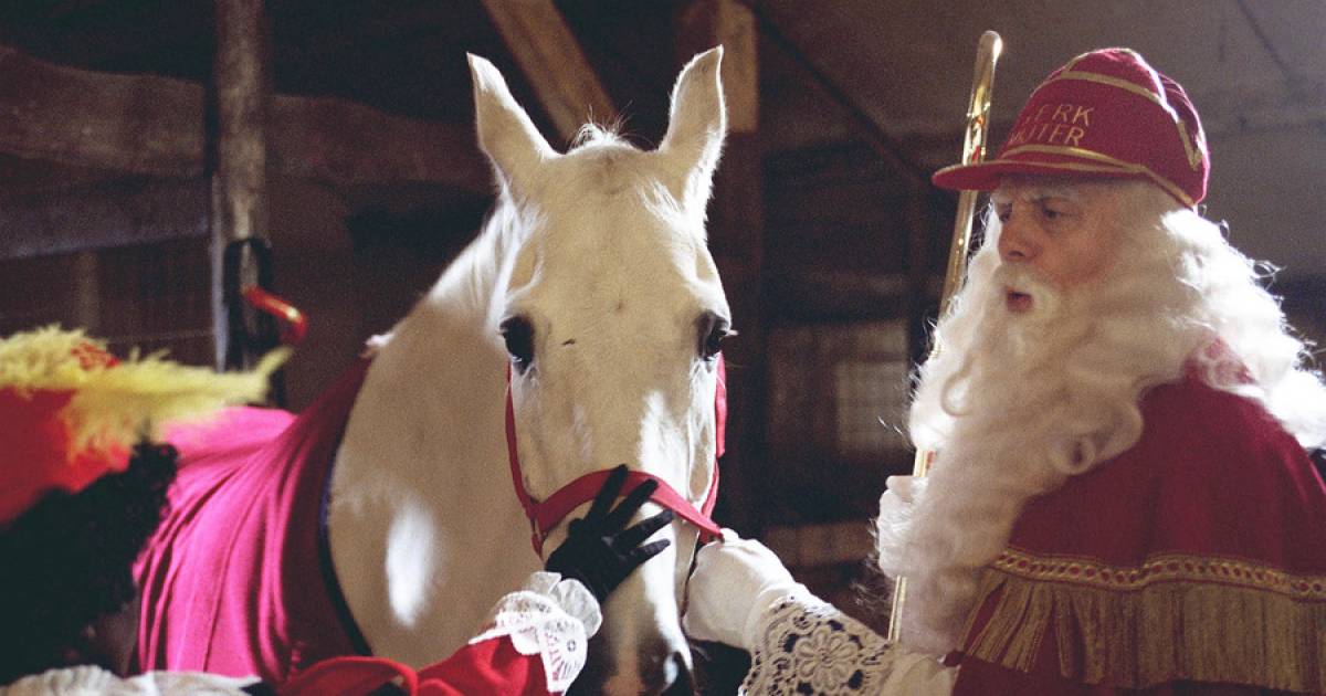dubbele stof in de ogen gooien kalmeren 937.000 kijkers voor Sinterklaasjournaal, maar waar is Amerigo? | Show |  AD.nl