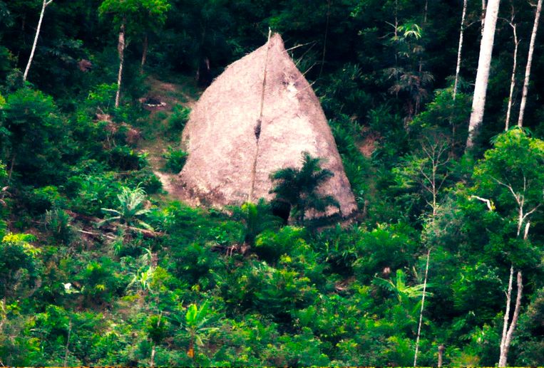 De drone legde ook een soort hut vast die zou toebehoren aan de geïsoleerde stam. Beeld AFP