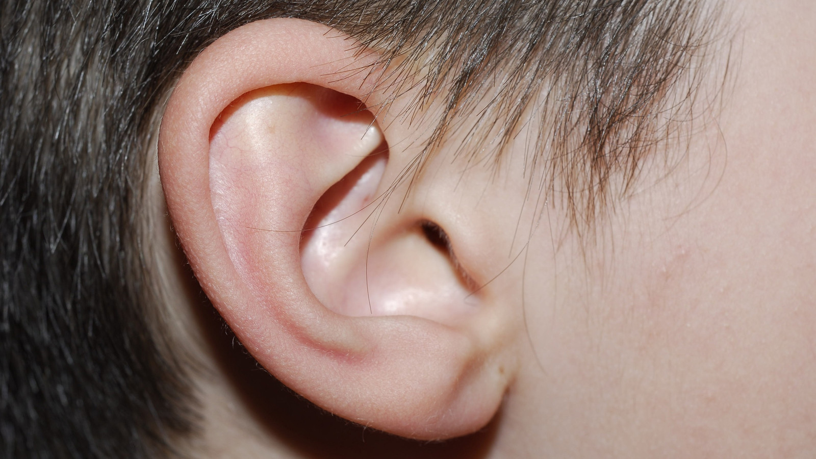 Показать картинку уха. Ухо. Детское ухо. Левое ухо.