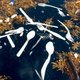 Hoe houden we mens en milieu plasticvrij? 'Wij zijn het enige levende wezen dat zijn nest zo bevuilt'