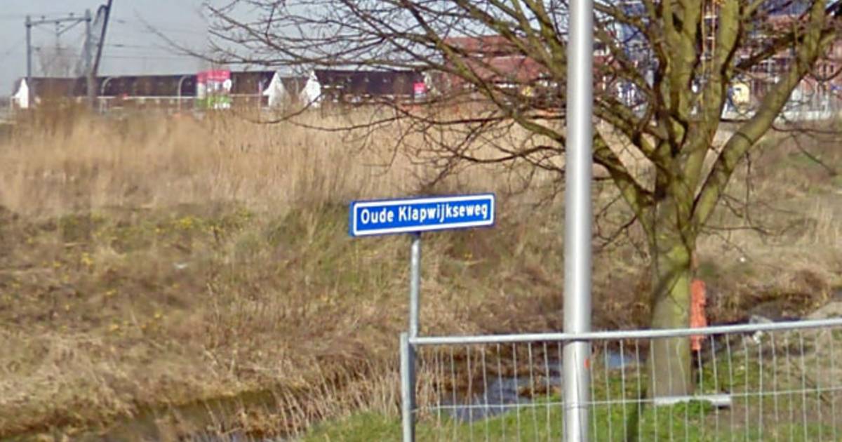 Meisje uit Pijnacker pleegt zelfmoord 'om bangalijst ...
