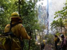 “Un territoire de 75.474 hectares est en train de brûler”: le Mexique combat 159 feux de forêt