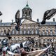 Deel raad wil van Paleis op de Dam weer stadhuis maken