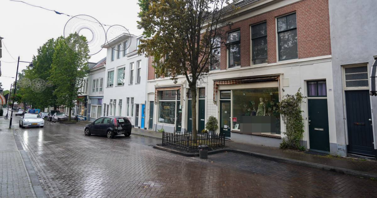 Arnhemse straat opgeschrikt door brandende auto’s en boom ‘Er ontstond