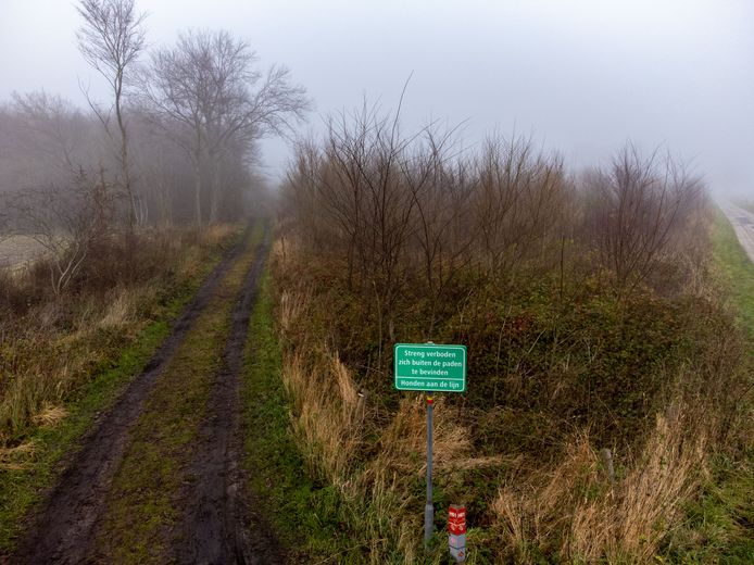 In het Zalkerbos moeten 1700 verkeerd geplante iepen gekapt worden. Het blijkt te gaan om Siberische iepen, in plaats van de inheemse gladde iep.