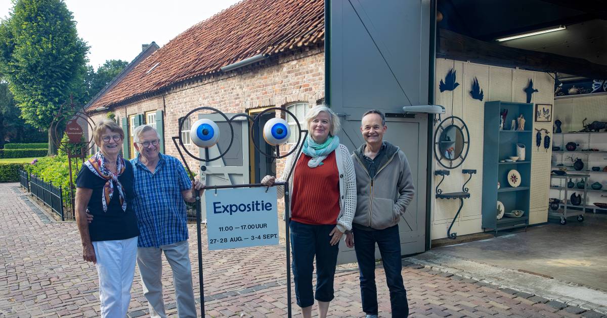 Aarde, water, lucht en vuur in beweging op groepsexpositie in Hoogeloon