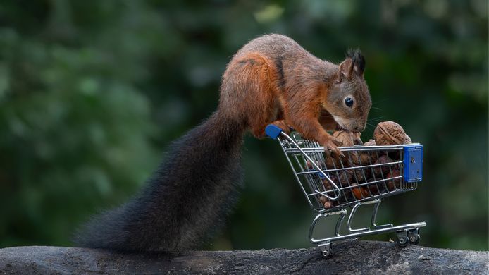 ?appId=21791a8992982cd8da851550a453bd7f&quality=0.8