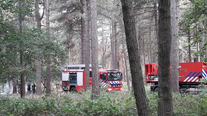 Meerdere wagens naar natuurbrand aan Peeldijk in Bakel