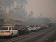 Australische bosbranden: het ergste moet nog komen